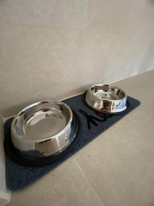 בראשוב Kronstadt Apartment - Pet Friendly מראה חיצוני תמונה
